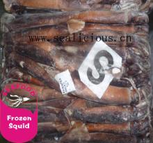 low price good quality frozen illex  argentinus   squid  fish