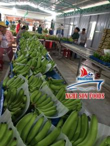 Fresh Banana