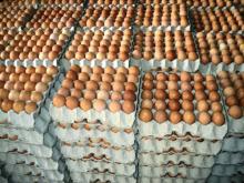 FRESH  FARM   CHICKEN   EGGS 