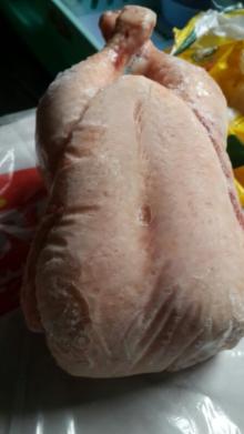 Halal Frozen Whole  Chicken  and Parts / Gizzards /  Thighs  / Feet /  Wings 