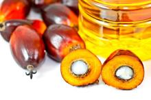 Palm Kernel Oil