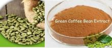 Green Coffee Bean Extract/ Chlorogenic Acid 45% & 50%