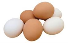 Fresh White and Brown Chicken Egg ready for supply