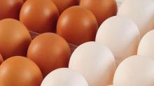 Fresh brown table eggs ( L size 63-73 gms)