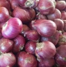 Fresh Shallot Onion for sale
