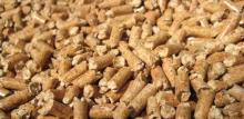 Sawdust Wood Pellets