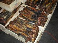 Dry Mackerel Fish, Herring Fish ,Dry Stockfish for Sell