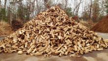 Beech , Oak , Ash, Alder, Hornbeam Firewood