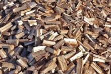 Kiln Dried Beech Firewood,Oak Firewood,Pine Firewood for sale