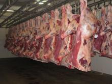 Frozen Mutton Beef, Frozen Buffalo Beef,Frozen Goat Beef