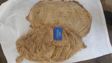 OFFERING DRIED BEEF OMASUM