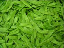 IQF Frozen Green Pea Pod