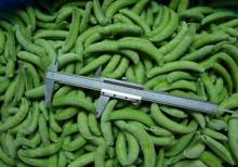 IQF  pea pods