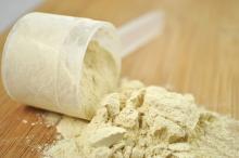 Whey Protein Concentrate/80% Protein Powder/WPC80%/Whey Protein Isolate /100% Wh