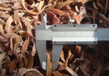 IQF/Frozen black fungus slices