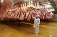 Halal Frozen Meat