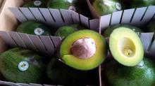  FRESH  AVOCADO