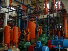 Moringa Seed Oil Subcritical Extraction Machine Turn-key Project