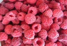  iqf   frozen   raspberry 
