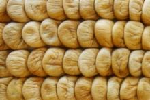 DRIED FIG
