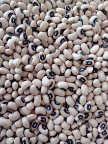 Black eyes beans