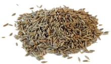 Cumin