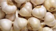 Fresh Garlic, Fresh  Ginger ,Garlic Granules  Ginger  Granules, Garlic Powder, and  Ginger  Powder