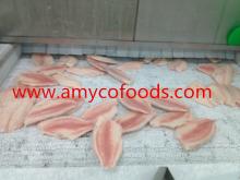 High Quality Frozen Tilapia Fillet With Low Price