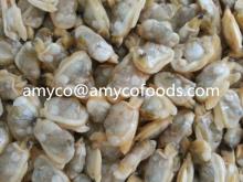 Frozen short neck clam meat good taste