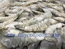 High quality frozen Vannamei shrimp with competitive price