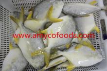 Frozen Golden Pompano/pomfret origin China