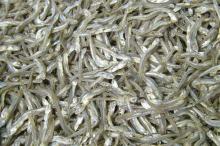 Dried Sprat Anchovy / 100% Sun Dried Sprat / Boiled Anchovy Sprats