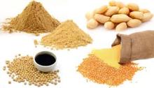 Hydrolyzed Vegetable Protein Powder- Flavour enhancers
