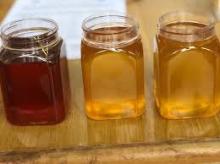 REFINED NATURAL HONEY