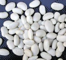  White   Bean s,  White  Kidney  Bean s,  New   Crop   White   Bean s