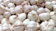 Wholesale new crop white garlic fresh Garlic