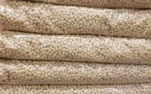 Urad Gota Ready for supply