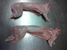 Frozen Whole Rabbit Carcass for sale