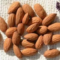 Pistachio Nuts,Pine Nuts,Cashew Nuts,Macadamia Nut,Almond, Walnuts, Chest Nuts