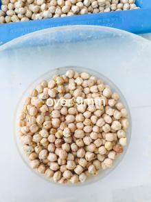 Best Quality Chickpea at Affordable Prices