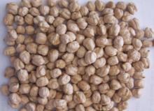 Dried CHICKPEAS