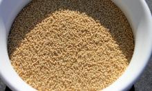  Amaranth  Grains