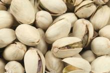 Pistachio Nut