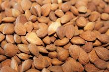 Apricot kernels