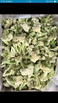 IQF frozen green stem cauliflower florets