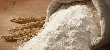 Best Quality Wheat Flour