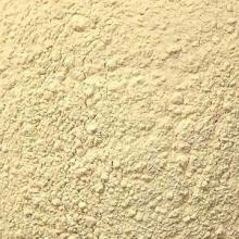 garlics powder
