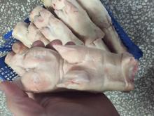 Frozen Front and Hind Pork Feet