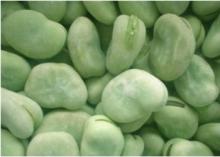 IQF  FROZEN   BROAD   BEANS 