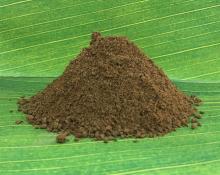 Meat bone meal hot sale (MBM)